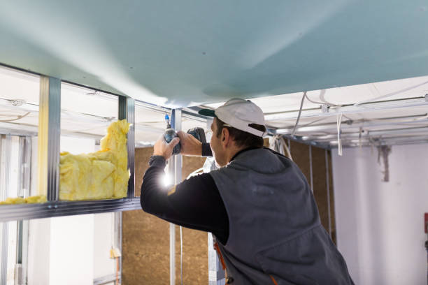 Best Basement Insulation  in Dresden, TN